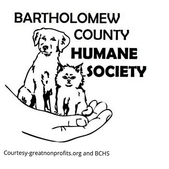 Posh Ambassador for Jane Iredale 🥰 - Picture 10 of 16